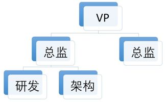 五維協同 研發、產品、架構、業務與項目管理下的多元組織架構建設與市場營銷策略融合